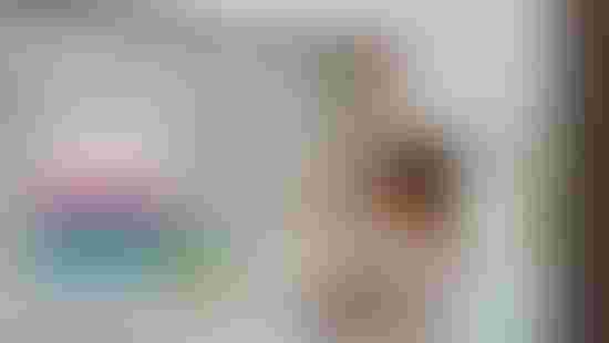 31-03-2025-setkani-NLZP-47.jpeg